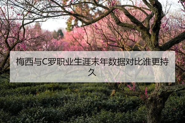 梅西与C罗职业生涯末年数据对比谁更持久