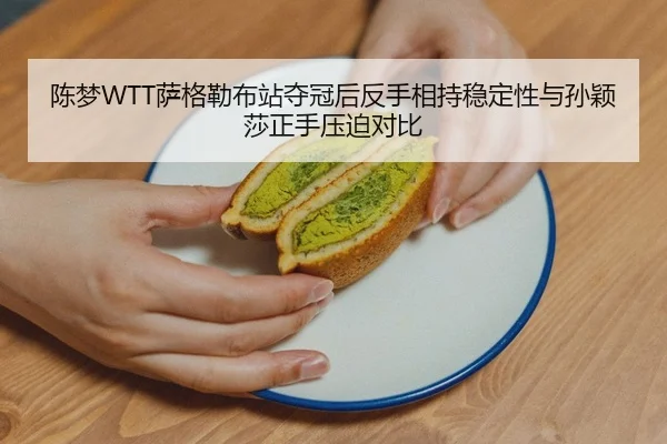 陈梦WTT萨格勒布站夺冠后反手相持稳定性与孙颖莎正手压迫对比