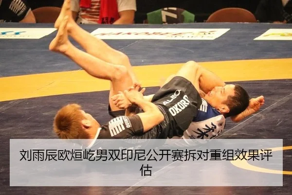 liu-yu-chen-ou-xuan-yi-nan-shuang-yin-ni-gong-kai-sai-chai-dui-chong-zu-xiao-guo-ping-gu-3-266.jpg